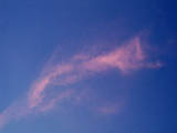 Rosy cloud