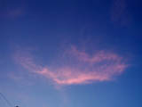 Rosy Cloud