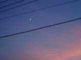 Rosy cloud and Crecent moon
