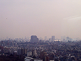 It can see Tokyo Dome