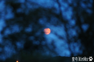 2005.4.24 赤い満月