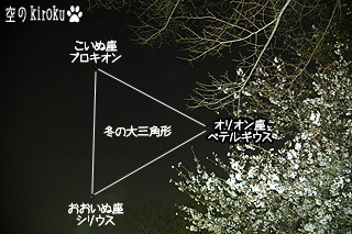 2003.3.31　冬の大三角形